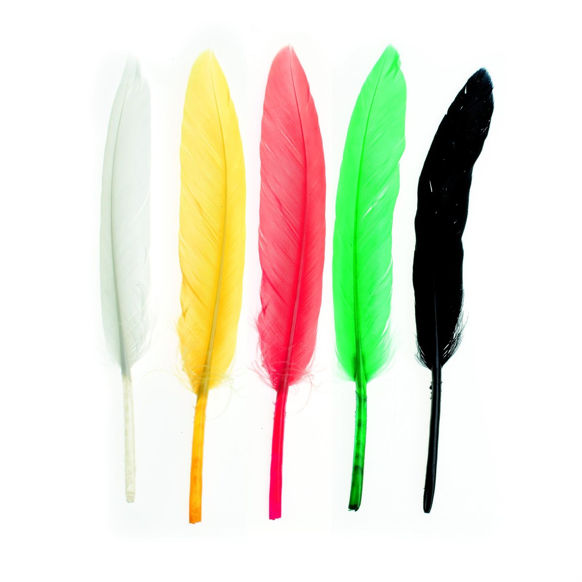 Indian feathers ca.13cm